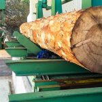 Εργοστάσιο Παραγωγής Πέλλετ & Ξυλείας - Στασινός