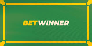 كل ما تحتاج معرفته عن برومو كود بيت وينر 1